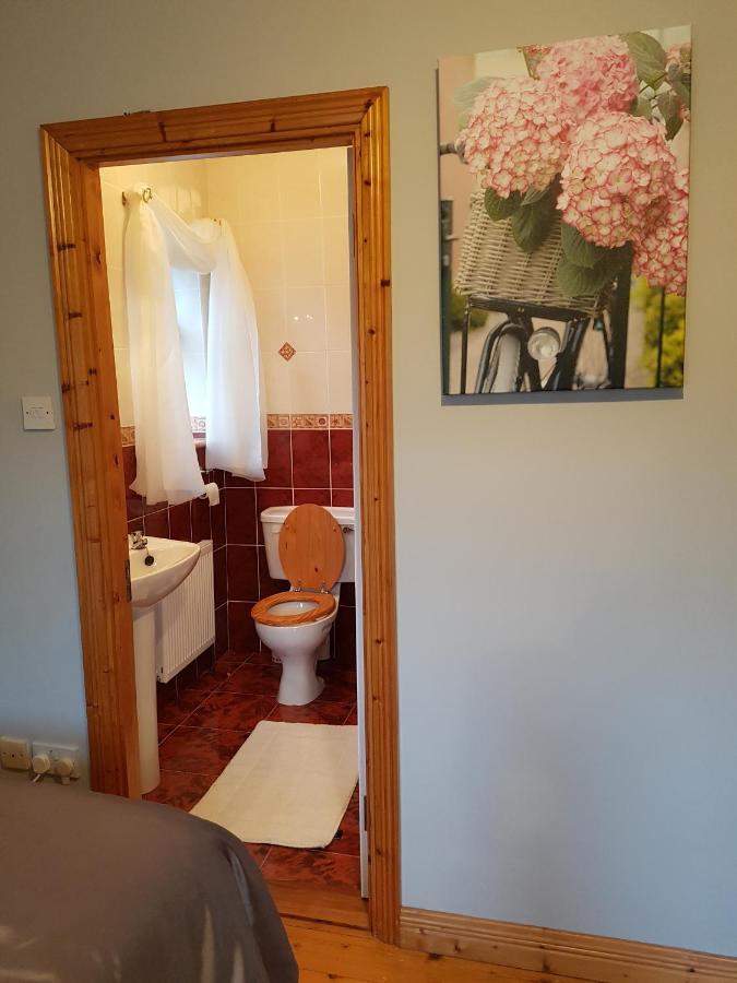 Hillgrove House Appartement Boyle Buitenkant foto